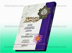 انصار الحسین (علیه السلام)