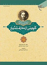 گلچینی از معارف تشیع