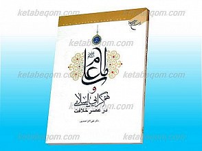 امام علی علیه السلام و هم گرایی اسلامی (در عصر خلافت)