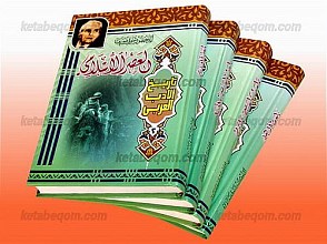 تاریخ الادب العربی (العصرالاسلامی)