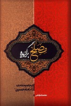 مصلح برگزیده