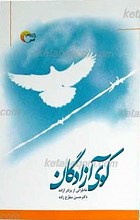 کوی آزادگان