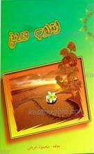 انقلاب درونی