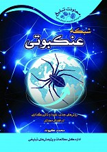 شبکه عنکبوتی