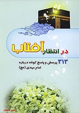 در انتظار آفتاب (313پرسش و پاسخ کوتاه درباره امام مهدی (عج))