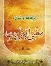 ترجمه و شرح مغنی الادیب (دوره چهار جلدی)