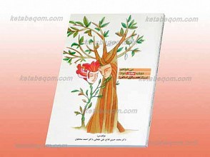 می خواهم دوباره عاشق شوم
