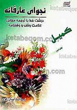 نجوای عارفانه (کمیل)
