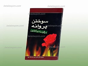 سوختن پروانه در گردبادی آتشین