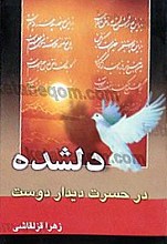 دلشده در حسرت دیدار دوست