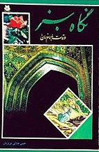 نگاه سبز (ملاقات با امام زمان(عج))