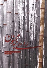راهی به مجنون