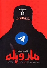 مار و پله