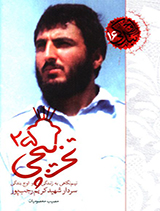 تخریبچی 25