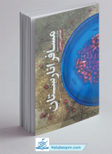 کتاب مسافر انارستان