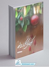کوچه ای که تکرار می شود