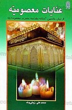 عنایات معصومیه از زبان خادمین آستانه مقدسه حضرت معصومه علیها السلام