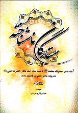 ستارگان ناشناخته - جلد اول