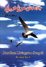 جاناتان مرغ دریایی