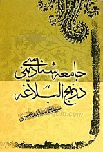 جامعه شناسی دینی در نهج البلاغه