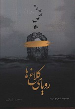 رویای کلاغ ها