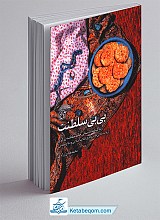 بی بی سلطنت
