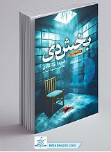 بخش دی