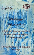 چهره اسلام در یک بررسی کوتاه