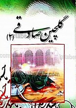گلچین صادقی (شامل: مداحی، نوحه، سینه‌زنی، در سوگ ائمه اطهار) (جلد 2)