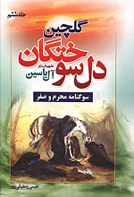 گلچین دلسوختگان - جلد 6